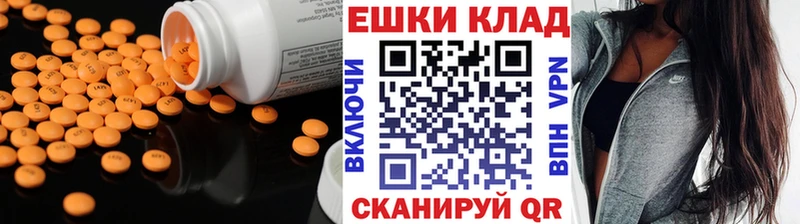 закладки  Ярославль  Экстази Philipp Plein 