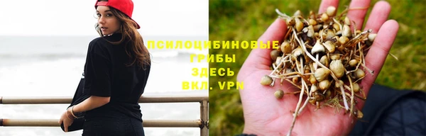 молекула духа Абаза