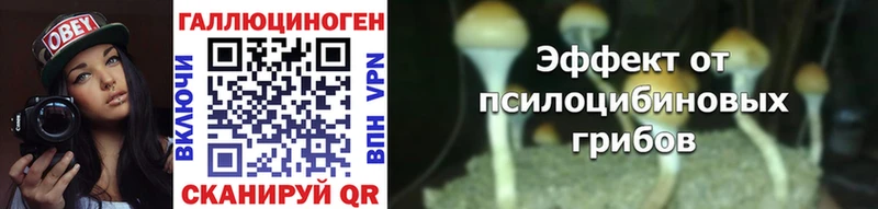 купить Ярославль Галлюциногенные грибы прущие грибы