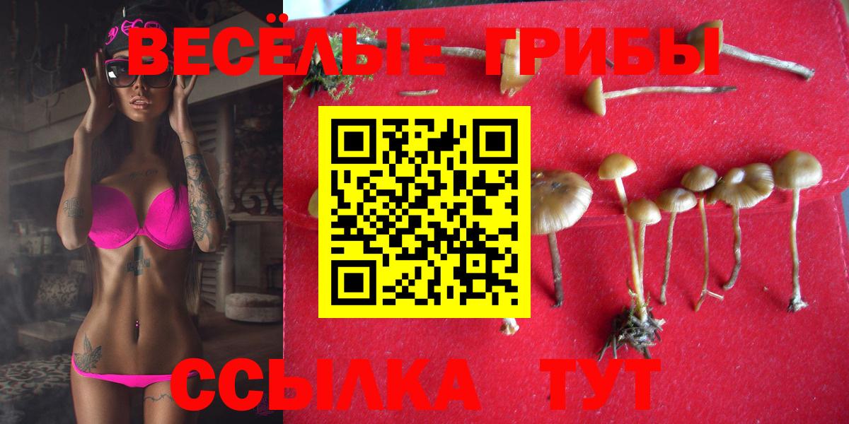 Псилоцибиновые грибы Magic Shrooms Ярославль