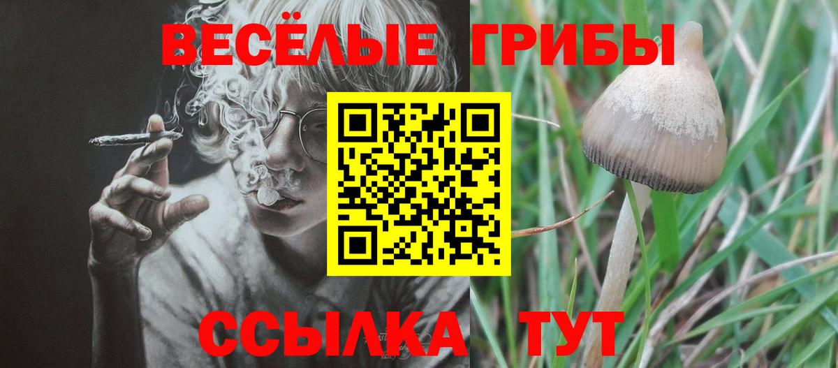 Ярославль  Галлюциногенные грибы прущие грибы  Галлюциногенные грибы мухоморы  Вход с VPN 